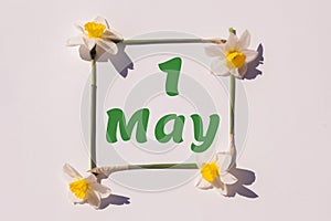 1 may. 1st day of the month, calendar date. Frame from flowers of a narcissus on a light background, pattern. View from above.
