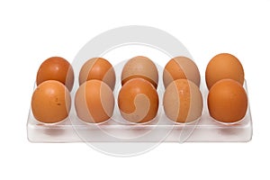 10 Chicken eggs in egg tray