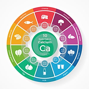 10 foods high in Calcium. Nutrition infographics