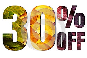 10% off discount promotion sale poster, ads. Autumn sale banner with green, yellow and red leaves on white background.