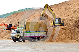 10 wheels truck is loading wood chip at stock piles ready to load to vessel for export. Paper and biomass industries.