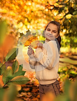 A 10-year-old girl in a white sweater stands with a bouquet of autumn maple leaves. She is joyful.