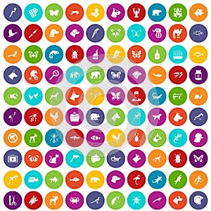 100 animals icons set color