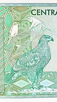 100 Baisa banknote, Issued on 1995, Bank of Oman. Fragment: Eagle profile