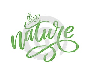 100 natural green lettering sticker with brushpen calligraphy. Eco friendly concept for stickers, banners, cards, advertisement.