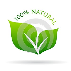 100 natural icon