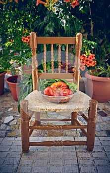 100% natural organic tomatoes from the garden. Large non-transgenic tomatoes