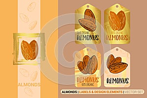 100% organic Almonds vector set. Cartoon nuts pattern with brush stroke design elements.
