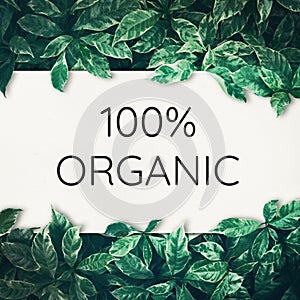 100% organic text with green leaf background