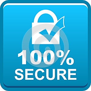 100 secure web button