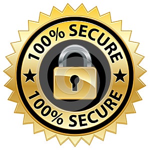 100% Secure Website Seal photo