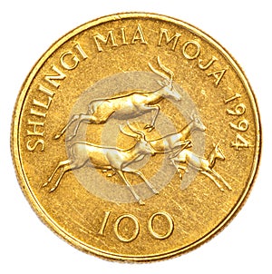 100 Tanzanian shilling coin