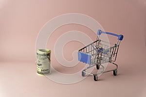 100 USD roll inside small shopping trolly cart