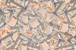1000 Guyanese dollars bills lies in big pile. Rich life conceptual background