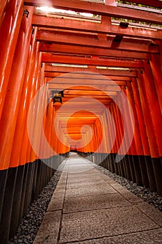 1000 Torii Gates