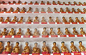 10000 buddhas photo