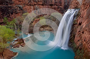 The 100ft Havasu Falls cascades in to a beautiful deep blue pool beneath, surrounded by thick, green vegetation.