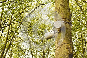 100V Line Weatherproof Outdoor Speaker hung on a tree