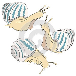 1011 snails, set of pictures of snails in pastel colors, vector illustration