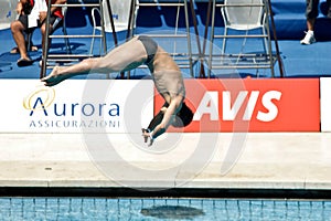 10m Platform Diving at the FINA World Championship
