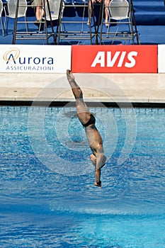 10m platform diving at the FINA World Championship