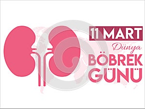 11 March World Kidney Day Turkish translate: 11 Mart Dunya Bobrek Gunu