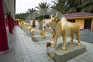 12 animals zodiac statue at Seen Hock Yeen, Confucius Temple, Chemor, Malaysia