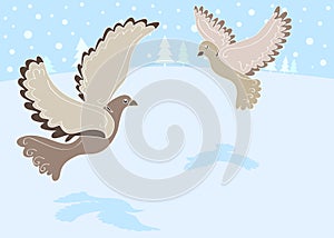 12 Days of Christmas: 2 Turtle Doves photo