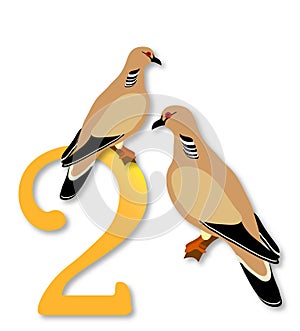 12 Days of Christmas: 2 Turtle Doves