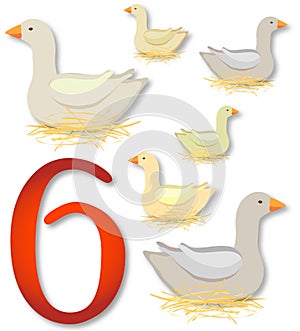 12 Days of Christmas: 6 Geese a Laying