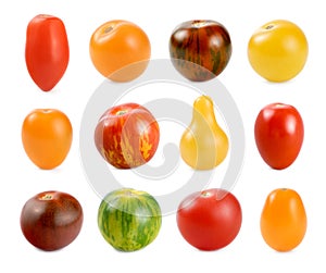 12 different sorts of tomatoes over white