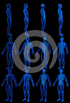 12 hi-res holographic xray renders in 1 image, man body with skeleton and organs - hospital research concept - creative medical 3D