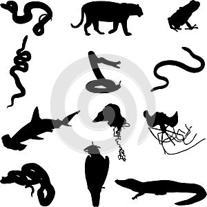 12 Killer Animal Series