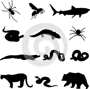 12 Killer Animal Series