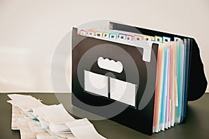 12-Month Accordion File Organizer, Monthly Document Filing System