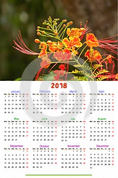 12 Months Calendar Design 2018