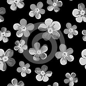 1240 pattern, seamless pattern with flowers of forget-me-nots in monochrome color