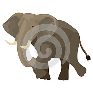 1285 elephant, vector illustration, image of elephant, wild animal, isolate on white background