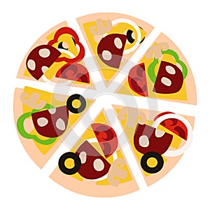 1316 pizza, pizza image, isolate on a white background, vector illustration