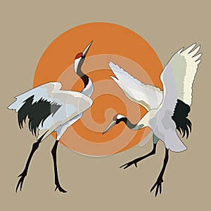 1396 stork, drawing, background with storks and the sun, vector illustration