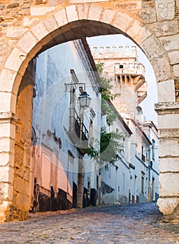 13th century entrance to the Estremoz Castle in Estremoz, Portugal. Three Crowns tower in the background