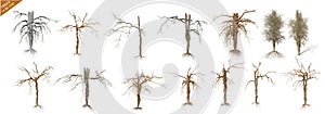 14 Dead Trees Collection Pack, isolated over a white background