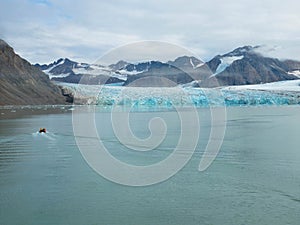 The 14th of July Glacier is a 16km long glacier in the northwest of Spitsbergen. It reaches more than 30 meters above sea level.