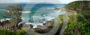 14x36-inch Beach Panorama Coolum Australia
