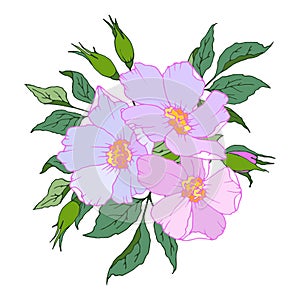 1514 bouquet, floral composition of flowers and leaves in spring colors, vector illustration, isolate on a white background