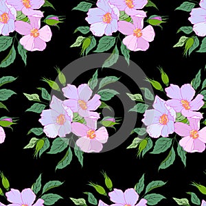 1519 blooming, seamless pattern with flowers of wild rose, ornament for wallpaper and fabric, wrapper, scrapbooking