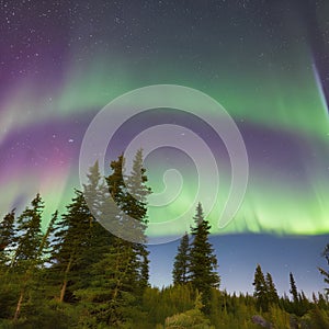 1585 Celestial Aurora Borealis: A mesmerizing and celestial background featuring the aurora borealis, with vibrant colors dancin