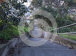 15Th Avenue steps, one of San Francisco`s smallest, UNofficial parks, 10.