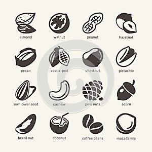 16 Nuts - web icon cet