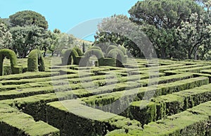 16th Century European Labyrinth